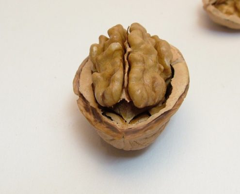 alimentación y emoción